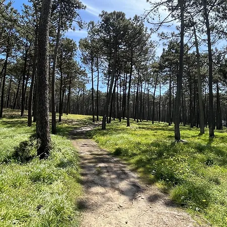 Onda House * Cortegaça