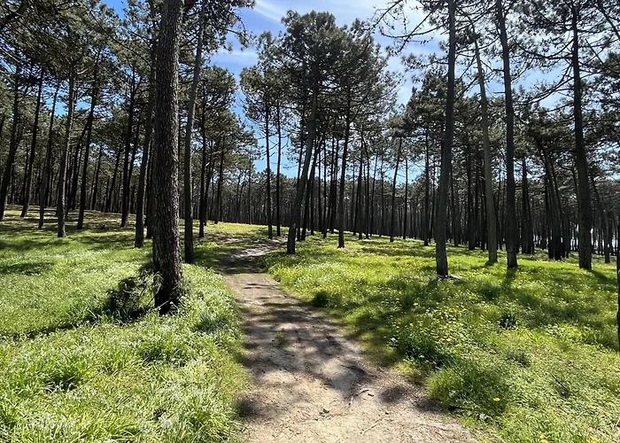 Onda House * Cortegaça